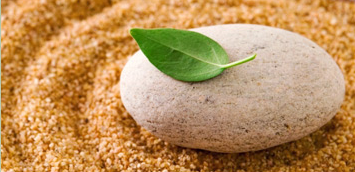 doctor melvine baird